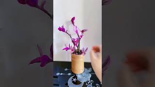 Pruning and cutting flower planting flower hydroponic flowers put in cup so beautiful garden diy [upl. by Yarvis]