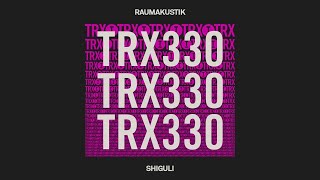 Raumakustik  Shiguli Techno [upl. by Eam909]