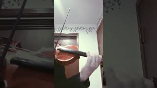 Vivaldi Violin Concerto in A minor 1st mvmt [upl. by Sirret691]