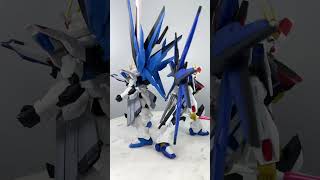 Strike Freedom Gundam amp Freedom Gundam [upl. by Shriver]