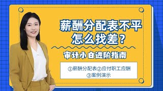 审计小白｜薪酬分配表不平怎么找差？ [upl. by Pavlov]