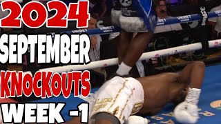 MMA amp Boxing Knockouts I September 2024 Part 1 [upl. by Oslec]