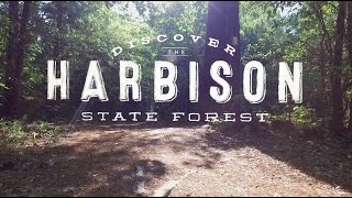 Discover Harbison State Forest [upl. by Bohman]