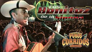 Los Benitez de la Sierra ♦ Puros Corridos y Rancheras Viejitas ♦ 30 Exitos ♦ Lo Mejor de Lo Mejor [upl. by Esertak]