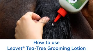 How to use Leovet® Tea Tree Grooming Lotion [upl. by Mattland]