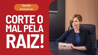 Aprenda a ter GESTÃO EMOCIONAL com esses 7 princípios SIMPLES [upl. by Giesecke]