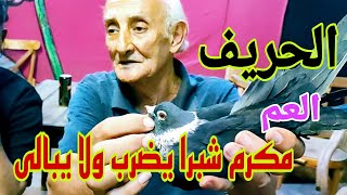 الحريف فرجة الفاروقالحمامالغزار egyptswiftpigeons [upl. by Akla]