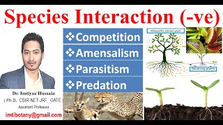 Species Interactions Competition Amensalism Parasitism Predation negative Part I [upl. by Coady308]