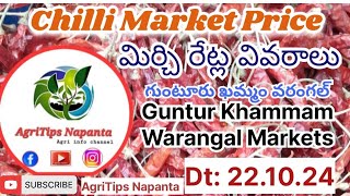 Chilli Price Dt221024 in Guntur Khammam Warangal Markets మిర్చిరేట్లు గుంటూరు chillirates [upl. by Kruter]