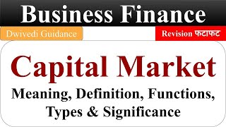 Capital market capital market type business finance lucknow university BCom UGC [upl. by Aissak974]