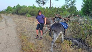 Voy al monte recoger talmas para el huerto le toca trabajar a Platera [upl. by Eixor]