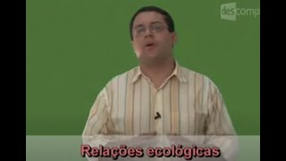 Relações Ecológicas Alelobiose  Biologia  Descomplica [upl. by Madelle]