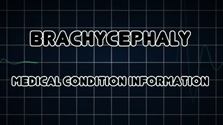 Brachycephaly Medical Condition [upl. by Nevins618]