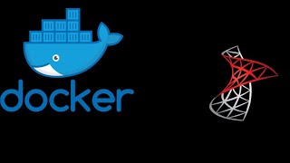 Conexión de SQL Server levantamiento con Docker con Python [upl. by Abocaj]