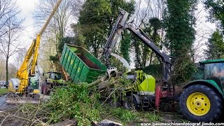 Baumfällung extrem in Gelsenkirchen FullHD [upl. by Suoivatnom578]