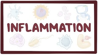 Inflammation  causes symptoms diagnosis treatment pathology [upl. by Slerahc]