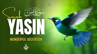 Surah Yasin Yaseen سورة يس  Relaxing heart touching voice  AlTaqwa TV [upl. by Arte]