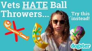 Why Ball Throwers Are NOT Recommended By Vets [upl. by Katushka]