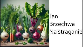 Jan Brzechwa  Na straganie [upl. by Clarita]