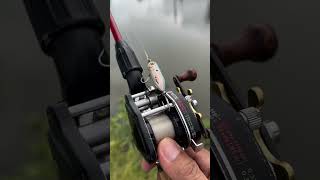 Heddon tiny torpedo amp Daiwa SM10 reel vintage [upl. by Neehar388]