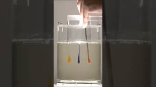 Laminar effect sciencefacts science knowledge facts [upl. by Bruno]