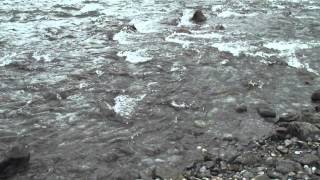 Salmon running in Sheep Creek Juneau Alaska [upl. by Gunther]