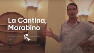 Marabino Noto la Cantina [upl. by Ylellan414]