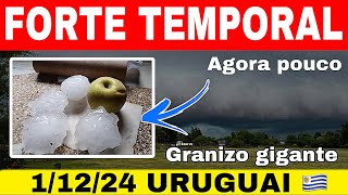 🚨URGENTE forte temporal de GRANIZO e CHUVA FORTE no URUGUAI neste momento11224 VEJA 😱 [upl. by Jentoft]