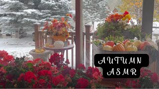 Experience the Tranquil Transition Autumn to Winter Ambience ASMR [upl. by Kayla924]