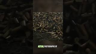 The True Story of the Mountains of Used Shell Cases in quotThe Kings Manquot shorts moviefacts facts [upl. by Sivram622]