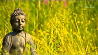 Zen Entspannungsmusik Wellness amp Regeneration Yoga Musik Tiefenentspannung amp Meditation [upl. by Buller804]