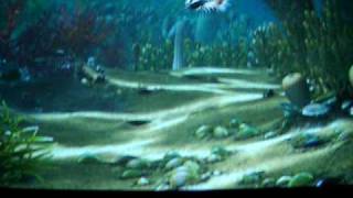 Burgess Shale Animation [upl. by Warder]