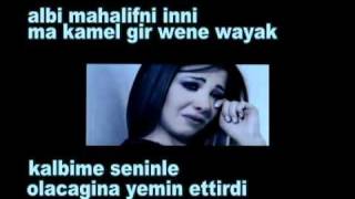 Nancy Ajram Meen Dah Elly Nseik Turkish Subtitle [upl. by Gothart]