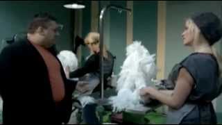 ANIMAL PLANET GROOMER HAS IT Season 1 Extra footage [upl. by Nnylyt513]