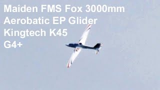 Maiden of Turbine FMS Fox 3000mm Aerobatic EP Glider [upl. by Thetisa519]