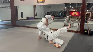 Pinan Yondan  Section 3 Bunkai [upl. by Ociredef]