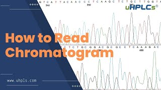 How to Analyse HPLC Data  Maybe You Can Study from this Video [upl. by Anialeh]