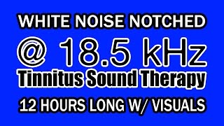 White Noise  Notch Filtered at 185 kHz for Tinnitus Therapy w VIsuals [upl. by Dermot]