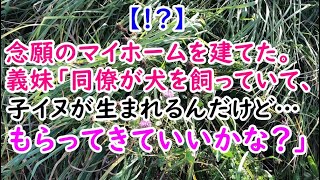 【ほのぼの】念願のマイホームを建てた。義妹「同僚が犬を飼っていて、子イヌが生まれるんだけど…もらってきていいかな？」【痛快・スカッとジャパン】 [upl. by Jemina]