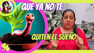 🐛4 soluciones orgánicas para evitar lombrices en tus plantas [upl. by Esinrahs435]