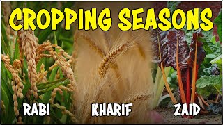 Major Cropping Seasons in India Kharif Rabi and Zaid  Cropping Pattern [upl. by Hanako151]