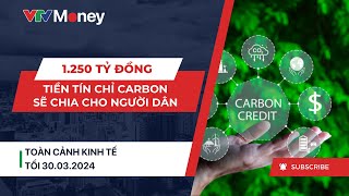 Việt Nam thu 1250 tỷ đồng tín chỉ CO2 người dân Bắc Trung Bộ được nhận tiền  VTVMoney [upl. by Iadrahc]