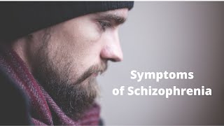 Paranoid Schizophrenia  Positive and Negative Symptoms [upl. by Nyrek102]