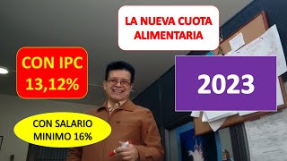 LA NUEVA CUOTA ALIMENTARIA 2023 EN COLOMBIA CON IPC 1312 Y CON SALARIO MÍNIMO 16 [upl. by Nodnorb]