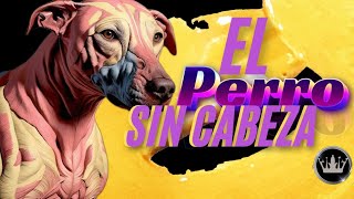 El perro sin cabeza 🤯 [upl. by Erny]