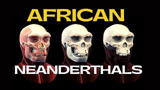 African Neanderthals  Was Homo Bodoensis The Ghost Ancient Human Ancestor [upl. by Okeim]