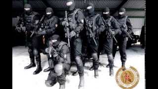 Counter Terrorist Music [upl. by Marna586]