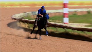 New Technology for Racehorse Training is Taking Off at Fairmount Park Racetrack [upl. by Laamak123]