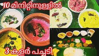 10 മിനിറ്റിനുള്ളിൽ മൂന്നു കളർ പച്ചടി Pachadi recipe malayalam Onam sadya Pachadi [upl. by Olmsted797]