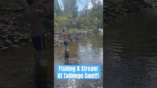 Fishing A Stream At Talbingo Dam ohares talbingodam talbingoreservoir theriverinafisherman [upl. by Arehc]